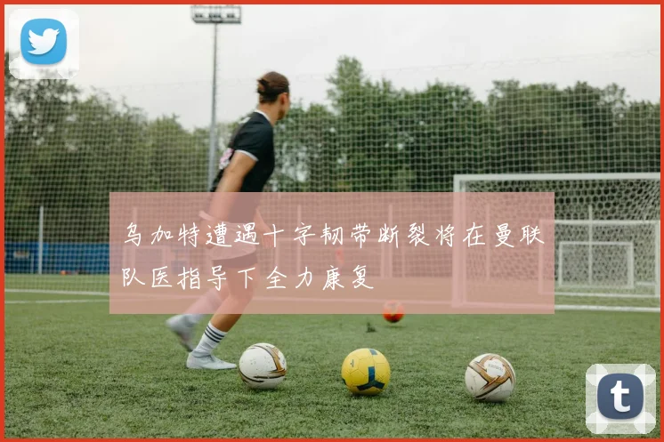 乌加特遭遇十字韧带断裂将在曼联队医指导下全力康复